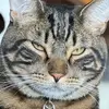 user9197114665845 - @selenemiller - TikTok