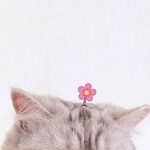 Selene Tan - @tanselene - Instagram
