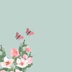 Selina Ali - Facebook