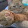 SelinaBean - @selinacrockett - TikTok