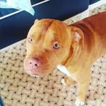Selena Bishop - @selena_19_13 - Instagram