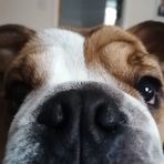 Selina Carr - Facebook
