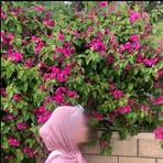 Selena cha  - Facebook