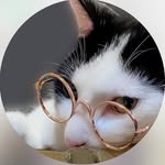 Selina Cheng - @shih_.___ - Instagram