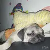 Selina CHENG - @selina.cheng43 - TikTok