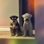 Selena Combs - Facebook