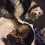 Selina Glover - @selina.glover.3 - Instagram