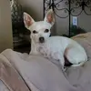 selinaharrison75 - @selinaharrison75 - TikTok