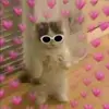 yoselinamayo840 - @yoselinamayo840 - TikTok