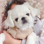 Selina Ng - @selinang530 - Instagram