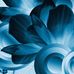 Selina Perryman - Facebook