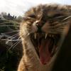 Selina - @selina_sharpe - TikTok