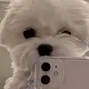 Celina Trejo - @celina_91 - TikTok