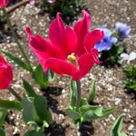 Selina Walker - @smwalker142426 - Instagram