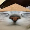 انسانة سوو فلة - @selina_ward - TikTok