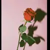 Selinaweir - @asmr_sl0 - TikTok