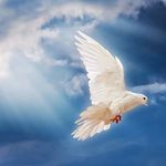 املي بالله - @selmaabdou964 - Instagram