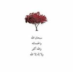 salouma el - @selma_abdo - Instagram