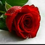 Selma Ballı - @selma_balli_ - Instagram