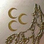 SELMA BALLI - @selmaballi_ - Instagram