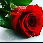 Selma Ballı - @selma_balli06 - Instagram