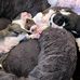 Selma Carrow - Facebook