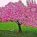 Selma Flores - Facebook
