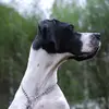 The good girl Selma - @goodselma - TikTok