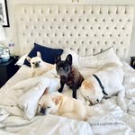 ALICE SELMA HALEY LOTTA MOLLY😍 - @alice.lotta.selma.haley.molly - Instagram