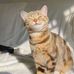 Salma Haroual - Facebook