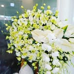 Selma Hicks - @selma.hicks.3 - Instagram