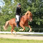 Selma Holtbäck - Facebook