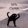 СемьяСельма - @selma_house - TikTok
