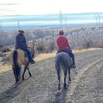 Hildur Anne Selma Johnson - @hildurasj - Instagram