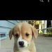 Joyce Selma - Facebook