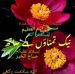 Salma Khan Khattak - Facebook