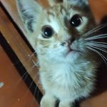 selma kırk - @hibajek733 - Instagram