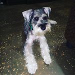 Selma Lewis - @selma.lewis.311 - Instagram