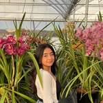 ‧₊˚❀༉‧₊˚. Selma  ‧₊˚❀༉‧₊˚. - @selma_lunaa - Instagram