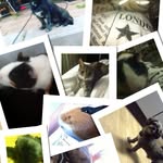 BoMoSe - @bosse_moses_selma - Instagram