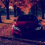 Selwyn Smith - @selwyn_smith_26 - Instagram
