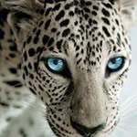 Semaj Ratcliff - @semaj.ratcliff.5 - Instagram