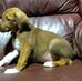 Sember Lara - Facebook