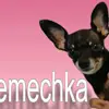 SEMECHKA - @semechka_simon_ - TikTok