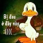 Sen Bùi - @senbui1027 - Instagram