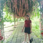Sen Bui - Facebook