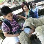 Sen Lee - @senlee0930 - Instagram