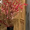 Seny - @senlyu1 - TikTok