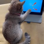 Sen Sun Tina - Facebook