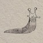 một con sên trần ● a slug - @sen.tran_ - Instagram